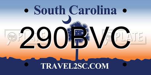 290BVC South Carolina License Plate
