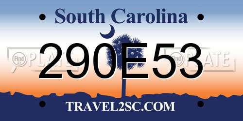 290E53 South Carolina License Plate