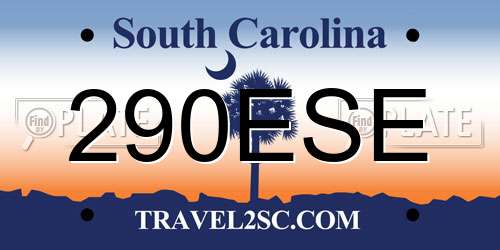 290ESE South Carolina License Plate