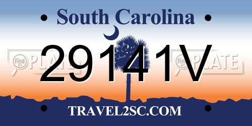 29141V South Carolina License Plate