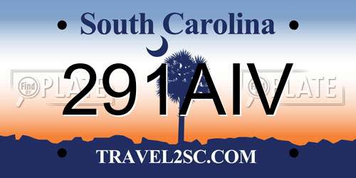 291AIV South Carolina License Plate