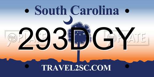 293DGY South Carolina License Plate