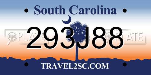 293J88 South Carolina License Plate