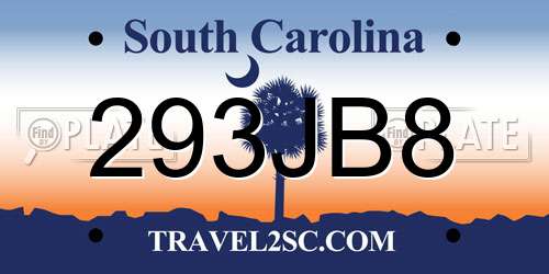 293JB8 South Carolina License Plate
