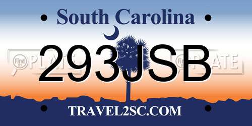 293JSB South Carolina License Plate