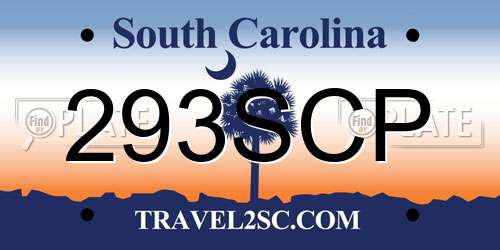 293SCP South Carolina License Plate
