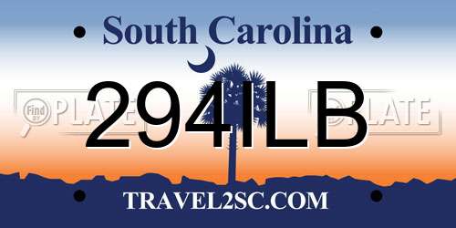 294ILB South Carolina License Plate