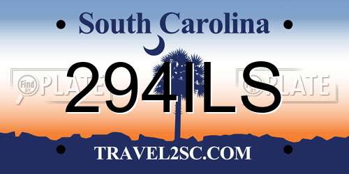 294ILS South Carolina License Plate