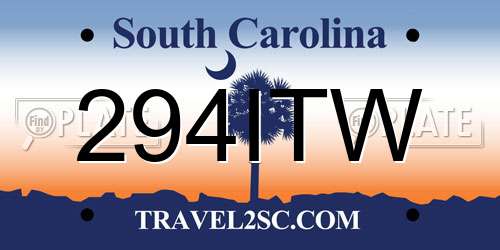 294ITW South Carolina License Plate