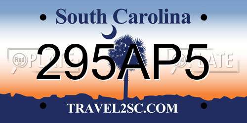 295AP5 South Carolina License Plate