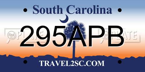 295APB South Carolina License Plate