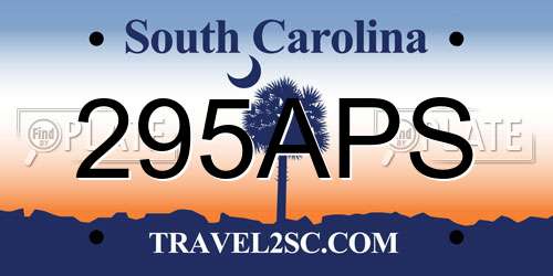 295APS South Carolina License Plate