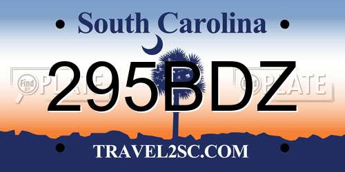 295BDZ South Carolina License Plate