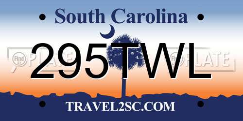 295TWL South Carolina License Plate