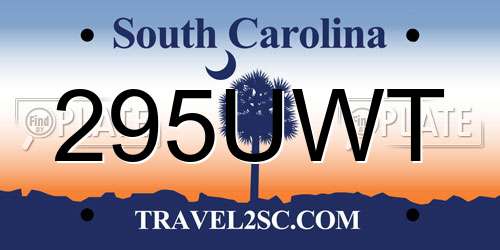 295UWT South Carolina License Plate