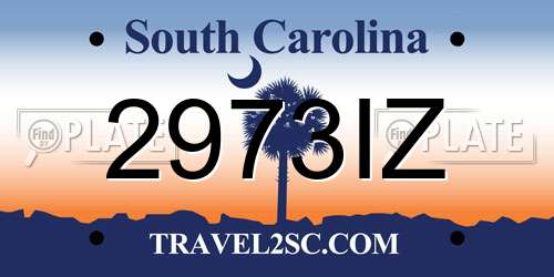 2973IZ South Carolina License Plate