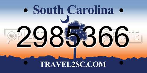 2985366 South Carolina License Plate