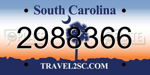 2988366 South Carolina License Plate