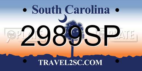 2989SP South Carolina License Plate