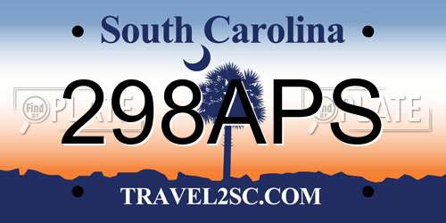 298APS South Carolina License Plate