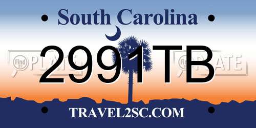 2991TB South Carolina License Plate