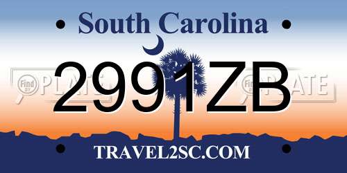 2991ZB South Carolina License Plate