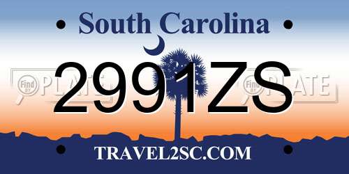 2991ZS South Carolina License Plate