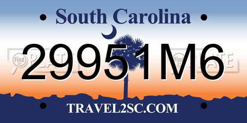29951M6 South Carolina License Plate