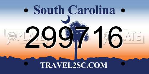 299716 South Carolina License Plate