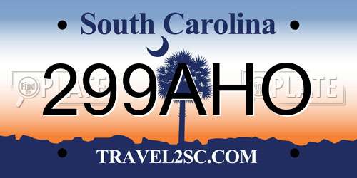299AHO South Carolina License Plate
