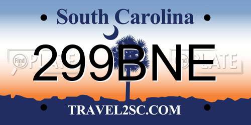 299BNE South Carolina License Plate
