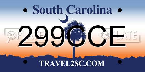 299CCE South Carolina License Plate