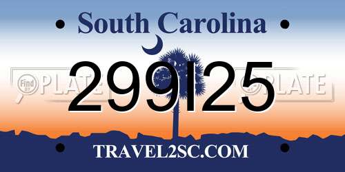 299I25 South Carolina License Plate