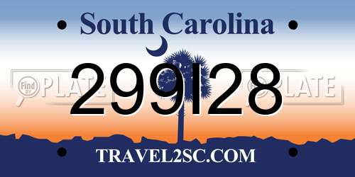 299I28 South Carolina License Plate