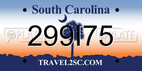 299I75 South Carolina License Plate