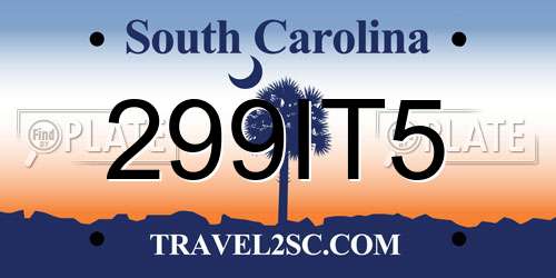 299IT5 South Carolina License Plate
