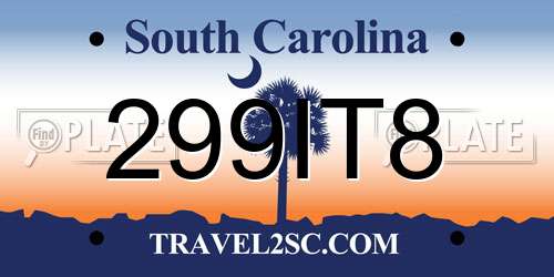 299IT8 South Carolina License Plate