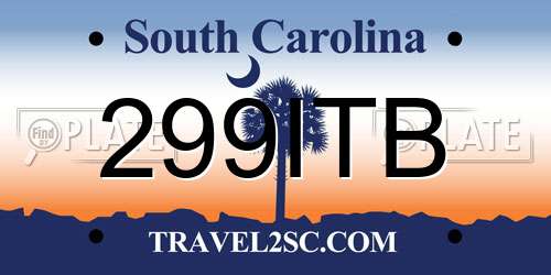 299ITB South Carolina License Plate