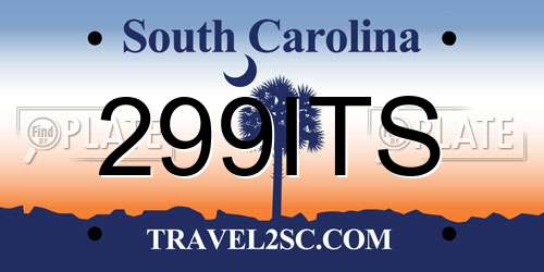 299ITS South Carolina License Plate