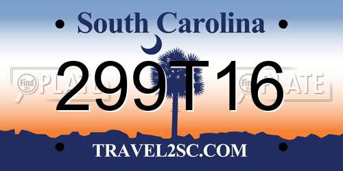 299T16 South Carolina License Plate