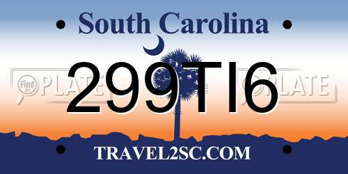 299TI6 South Carolina License Plate