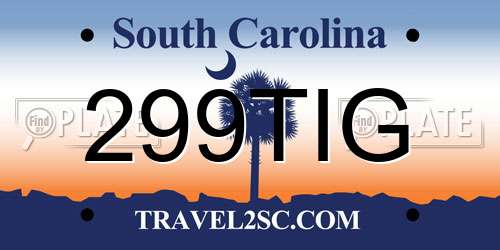299TIG South Carolina License Plate