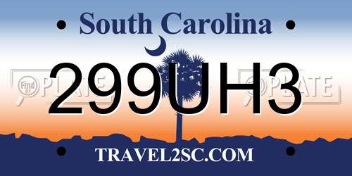 299UH3 South Carolina License Plate