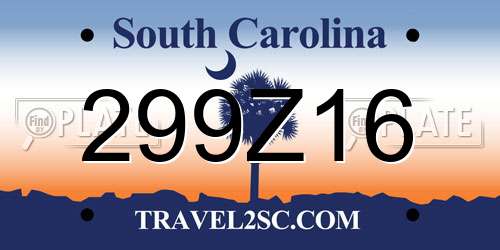 299Z16 South Carolina License Plate