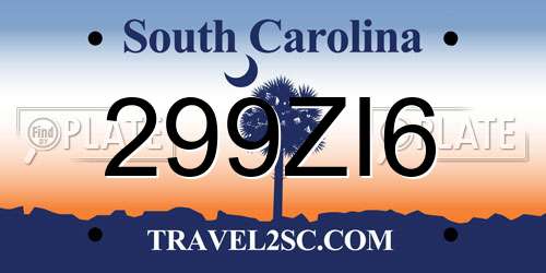 299ZI6 South Carolina License Plate