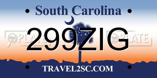 299ZIG South Carolina License Plate
