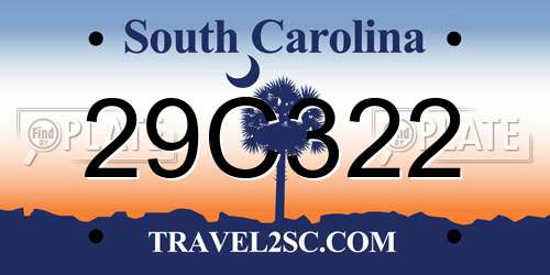 29C322 South Carolina License Plate