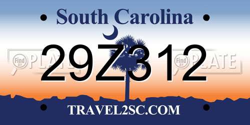 29Z312 South Carolina License Plate