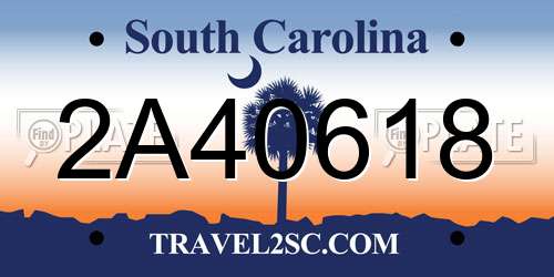 2A40618 South Carolina License Plate