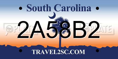2A58B2 South Carolina License Plate